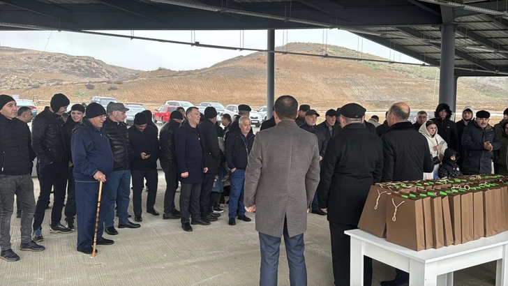 Media.az - Новости Азербайджана - Бывшие вынужденные переселенцы получили новое жильё в Ходжавенде