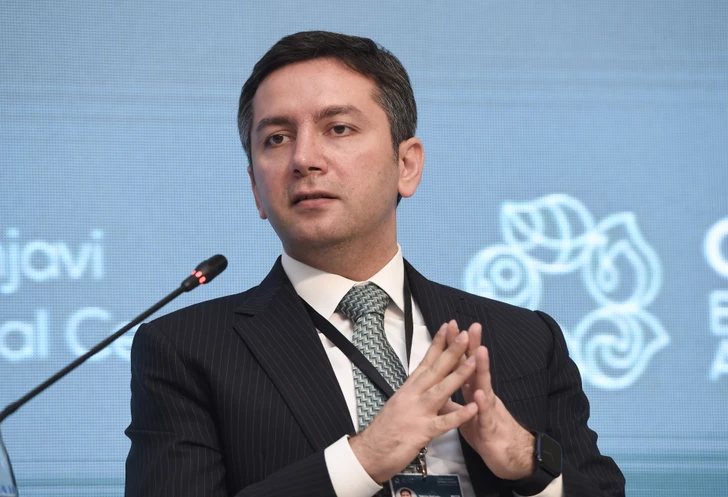 Рафиев: Политика неприсоединения для Азербайджана - это независимость в принятии решений