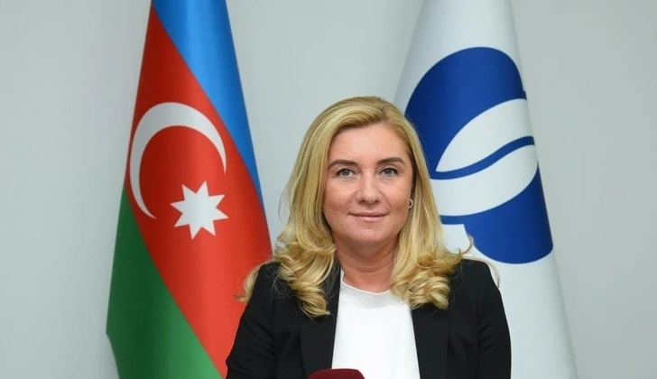 Наталья Моуравидзе: ЕБРР планирует наращивать инвестиции в Азербайджан