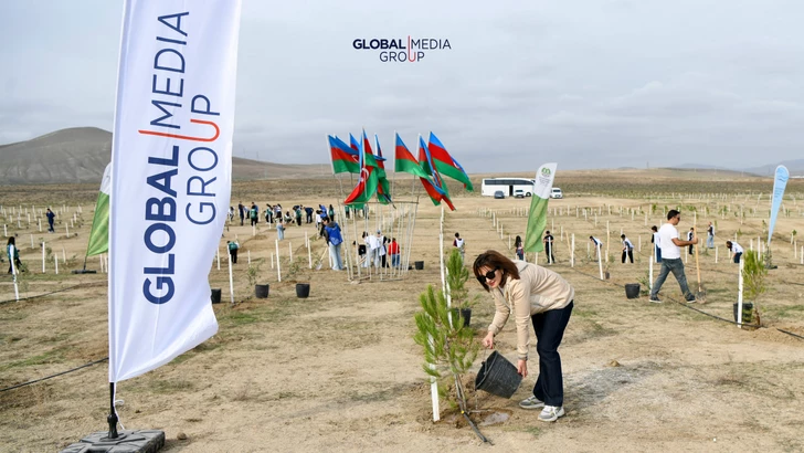 Media.az - Новости Азербайджана - По инициативе Global Media Group проведена очередная акция по посадке деревьев
