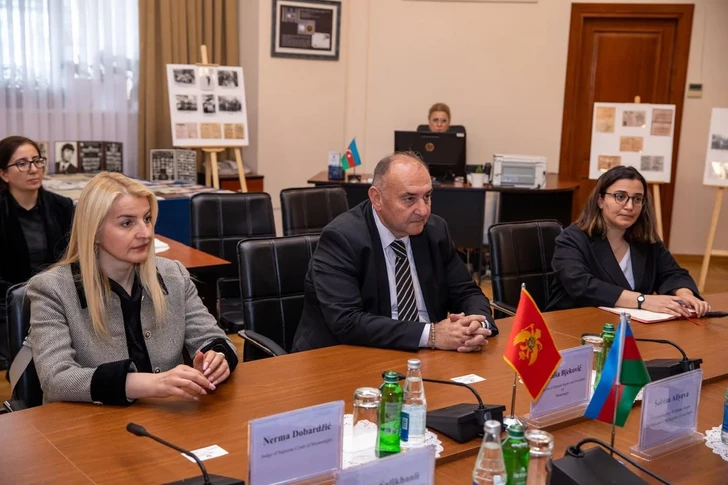 Media.az - Новости Азербайджана - Азербайджан и Черногория укрепляют сотрудничество в сфере прав человека