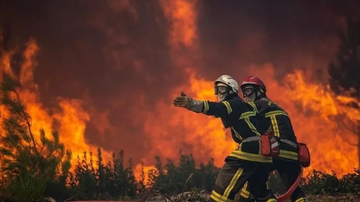 Во Франции из-за лесного пожара эвакуированы около 1000 человек