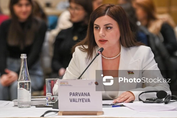 Депутат Милли Меджлиса рассказала о незаконной добыче полезных ископаемых Арменией
