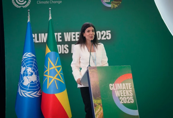 Нигяр Арпадараи о реализации решений COP29 в Эфиопии