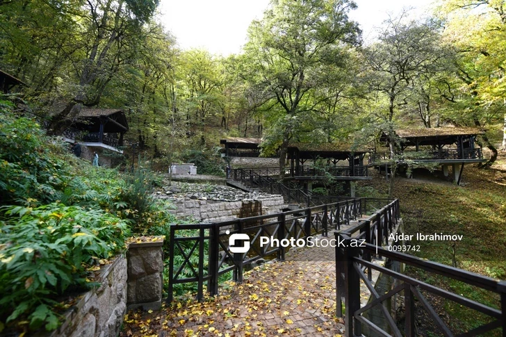 В Азербайджане оценили последствия открытия границ для туризма
