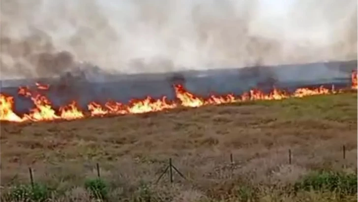 Media.az - Новости Азербайджана - В Агдамском районе вспыхнул пожар на открытой местности