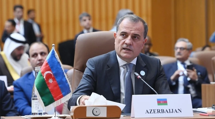 Джейхун Байрамов выступил на саммите ОИС