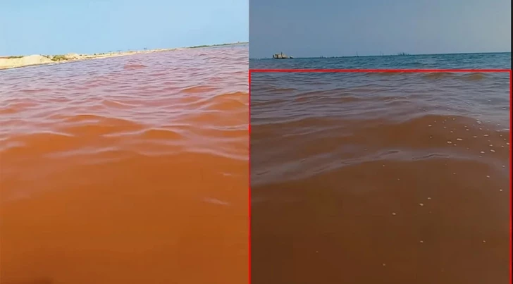 Необычный цвет воды на пляже в Зиря встревожил местных жителей