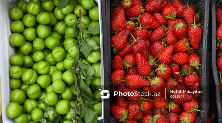 Когда на рынках страны подешевеют фрукты и овощи? - Заявление эксперта