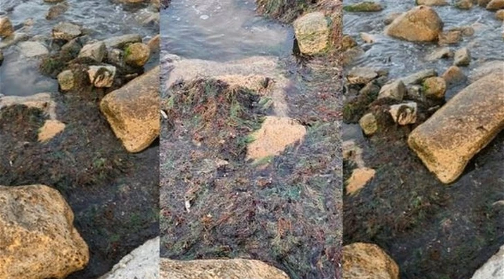 Внесена ясность в связи с распространяемыми в соцсетях кадрами загрязнения пляжа «Дачник»