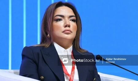 Айгюн Алиева: Глобальный Юг должен стать конструктивным участником формирования повестки