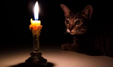 В ряде районов Баку 28 августа ограничат подачу электроэнергии