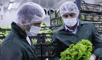 Качественная продукция - залог успеха: Как азербайджанской компании удалось стать поставщиком McDonald`s