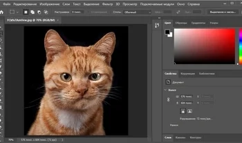 Разработчики Photoshop научили ИИ создавать любые картинки
