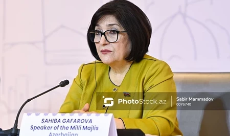 Сахиба Гафарова участвует на встрече Движения неприсоединения в Сербии