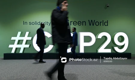 В Зеленой зоне COP29 прошло мероприятие, посвященное привлечению инвестиций в инфраструктуру ВИЭ