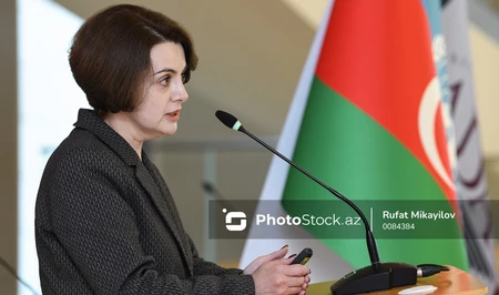 Рена Гумбатова: Энергоаудит домохозяйств – ключ к энергоэффективности Азербайджана