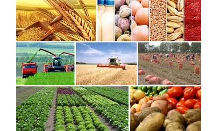 Эксперт: погодные условия могут повлиять на урожай и стоимость продукции