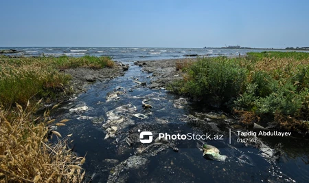 Зловоние вместо морского бриза: экологическая проблема столичного поселка