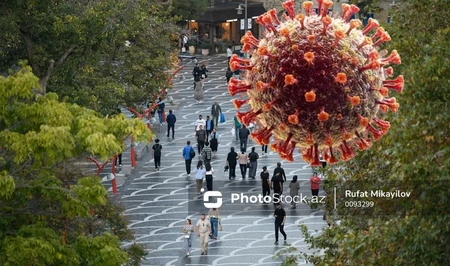 ВОЗ оценила риск распространения хантавируса в Азербайджане