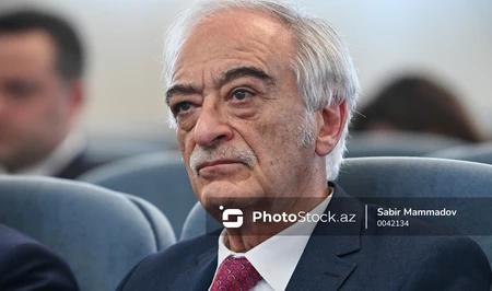 Полад Бюльбюльоглу предложил ужесточить требования к преподавателям искусств