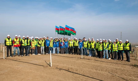 SOCAR Midstream Operations высадила более 600 деревьев в Абшеронском районе