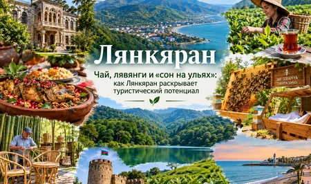 Чай, лявянги и «сон на ульях»: как Лянкяран раскрывает туристический потенциал