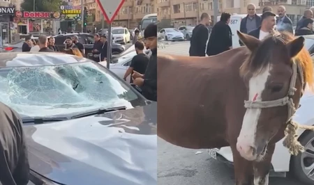 Необычное ДТП в Баку: автомобиль столкнулся с лошадью