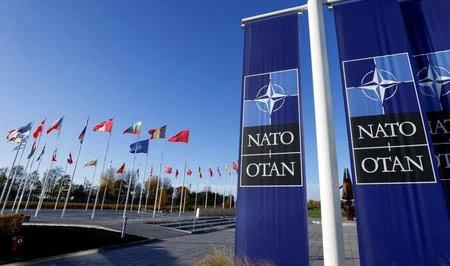 Politico: Президентские выборы во Франции могут усилить разногласия внутри НАТО