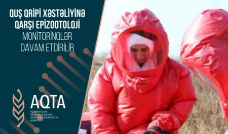 В Азербайджане пройдут эпизоотологические мониторинги для предотвращения птичьего гриппа
