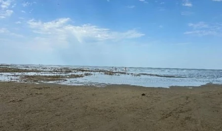Каспийское море отступает: экологическая катастрофа разворачивается на глазах ученых