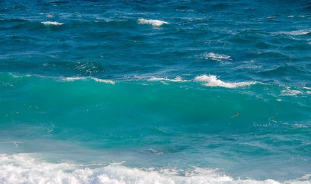 Как проверяется безопасность морской воды в Азербайджане? - Разъясняет специалист Минздрава