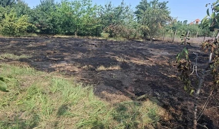В губинском селе произошел пожар на дачном участке