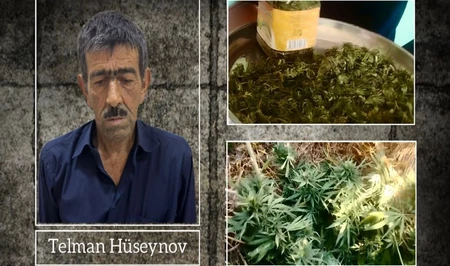 В Уджаре задержан мужчина, выращивавший наркотикосодержащие растения