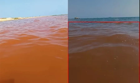 Необычный цвет воды на пляже в Зиря встревожил местных жителей