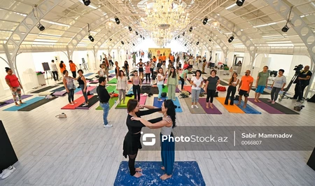 Nine Senses Fest 2025: Пробуди душу, тело и разум в Баку