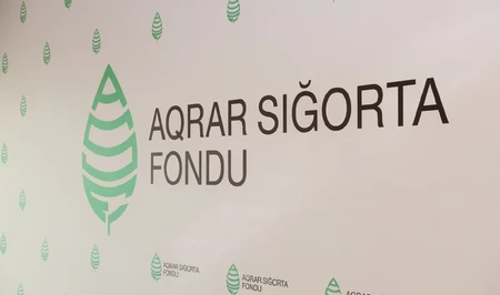 Фонд аграрного страхования Азербайджана подсчитывает убытки от проливных дождей