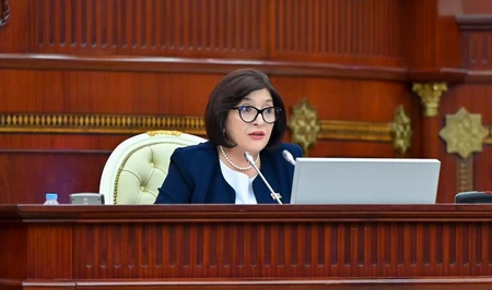 Председатель Милли Меджлиса подчеркнула миротворческую роль Азербайджана на заседании ПАЧЭС