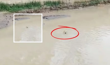 Прорыв канализации в абшеронском поселке: сточные воды затопили улицу