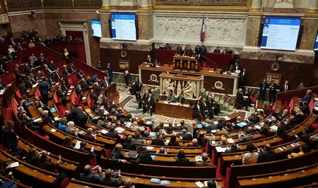 Сенат Франции окончательно проголосовал за отмену закона о рабстве