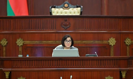 Сахиба Гафарова: Странам ОЧЭС необходима правовая база для регулирования искусственного интеллекта