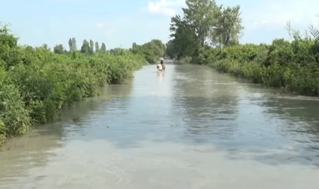 Стихийное бедствие в Загатале: село Ашагы Чардахлар под угрозой полного затопления