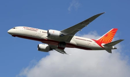 Air India отменяет рейс в Коломбо после инцидента с птицей