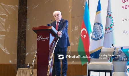 Турецкий депутат: Международное признание - ключевая задача по Западному Азербайджану