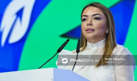 Айгюн Алиева: В первые годы независимости АР сотрудничество НПО и госорганов было затруднено