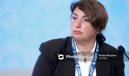 Шафаг Мехралиева: Искусственный интеллект — это прежде всего социальный и нравственный вызов