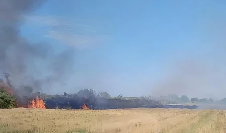 Полиция Зардабского района раскрыла дело об умышленном поджоге
