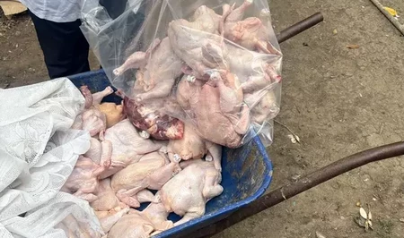 В Азербайджане выявлены нарушения на двух объектах по забою кур