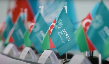 На COP29 в Баку обсудили мобилизацию правоохранительных органов в борьбе с изменением климата