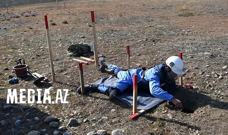 Азербайджан призывает международных партнеров расширить сотрудничество в сфере разминирования